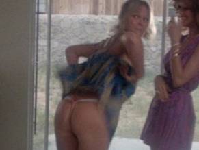 Valerie PerrineSexy in The Border