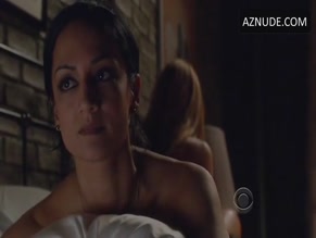 ARCHIE PANJABI in THE GOOD WIFE(2012-2015)