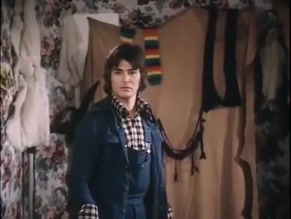 GAY SOPER in THE UPS AND DOWNS OF A HANDYMAN(1975)