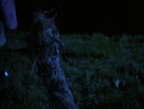 KATE GRAHAM in POULTRYGEIST: NIGHT OF THE CHICKEN DEAD(2006)