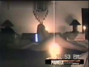 PAMELA ANDERSON in PAMELA ANDERSON SEX TAPE (1995)