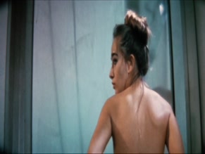 DIANA ABU SAMRA in DER FENSTERPUTZER