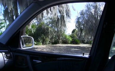 ALICE REIGNS NUDE/SEXY SCENE IN DEATH-SCORT SERVICE