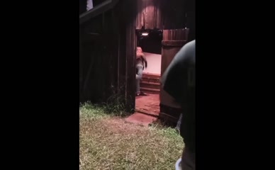 MCKENNA GRACE NUDE/SEXY SCENE IN WHAT WE HIDE