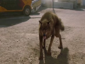 ALISHA WAINWRIGHT in SHADOWHUNTERS (2016-)