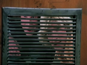 UNKNOWN in HOMEWORK (1982)