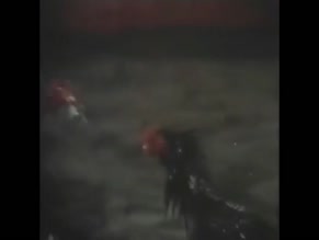 UNKNOWN NUDE/SEXY SCENE IN EL INQUISIDOR