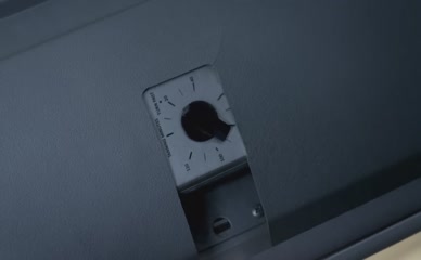 MADELAINE PETSCH NUDE/SEXY SCENE IN F*&% THE PROM