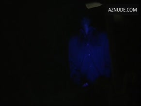 PATRICIA CLARKSON in THE DYING GAUL