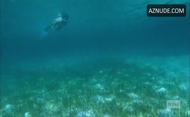 CAMILLE GRAMMER,DENISE RICHARDS,DORIT KEMSLEY NUDE/SEXY SCENE IN THE REAL HOUSEWIVES OF BEVERLY HILLS