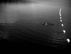 UNKNOWN in MARIUS HOOK - SUMMER NIGHT (2025)