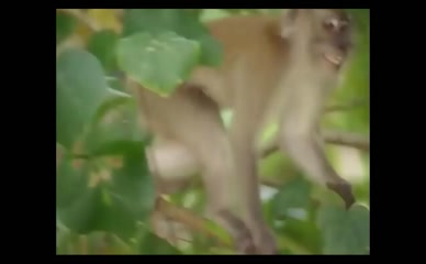 HEIDI KLUM NUDE/SEXY SCENE IN SPORTS ILLUSTRATED: SWIMSUIT 2000