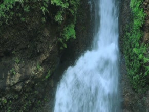 DONNALEE ROBERTS NUDE/SEXY SCENE IN FOREVER