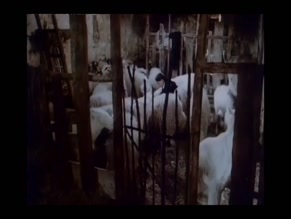 DRAGANA MRKIC in ISKUSAVANJE DJAVOLA (1989)