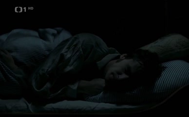 ANNA LINHARTOVA NUDE/SEXY SCENE IN BOZENA