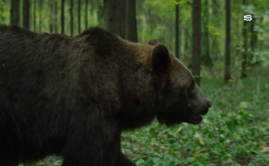 ARINA POSTNIKOVA NUDE/SEXY SCENE IN KHUTOR