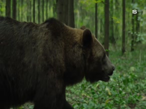 ARINA POSTNIKOVA in KHUTOR (2025)