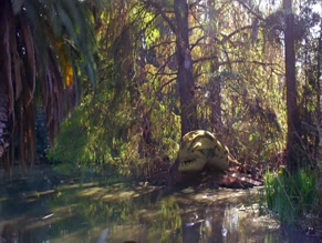 CHRISTINA DEROSA in PIRANHACONDA