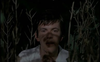 GALA VIDENOVIC NUDE/SEXY SCENE IN THE ELUSIVE SUMMER OF '68