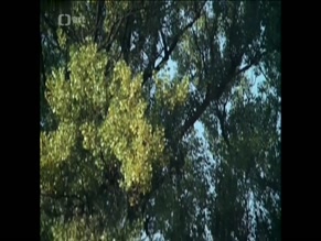 UNKNOWN in RADUZ A MAHULENA (1970)