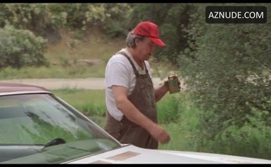 BRITTANY DANIEL NUDE/SEXY SCENE IN JOE DIRT