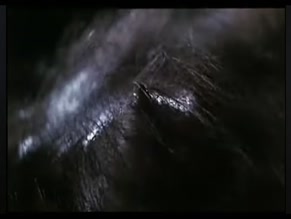 UNKNOWN in POSSESSED 2