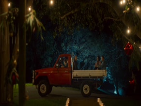 UNKNOWN in CHRISTMAS ON THE FARM (2021)