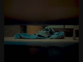 BHOOMIKA MEENA in CHIDIYA UDD (2025)