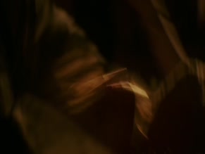 SYLVIA HOEKS in AMERICAN RENEGADES (2017)