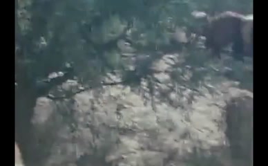 MICHELE CAREY NUDE/SEXY SCENE IN FIVE SAVAGE MEN