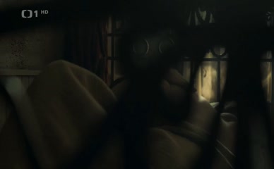 ANNA LINHARTOVA NUDE/SEXY SCENE IN BOZENA