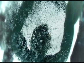 KATE ATKINSON in THE COOKS