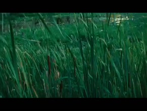 PASCALE BUSSIERES in WETLANDS (2011)