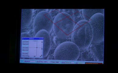 PENELOPE ANN MILLER NUDE/SEXY SCENE IN THE RELIC