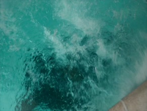 JAYLEN BARRON in BLINDSPOTTING (2021-)