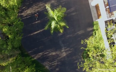 RACHEL HARRIS NUDE/SEXY SCENE IN PLAYBOY PLUS