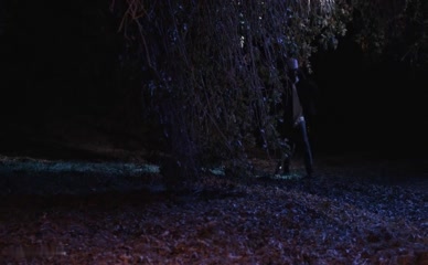 DEMETRIA MCKINNEY NUDE/SEXY SCENE IN A HOUSE DIVIDED