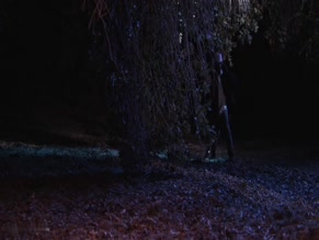 DEMETRIA MCKINNEY in A HOUSE DIVIDED (2019)