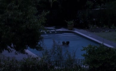 CHRISTINE BOISSON in BONJOUR TRISTESSE