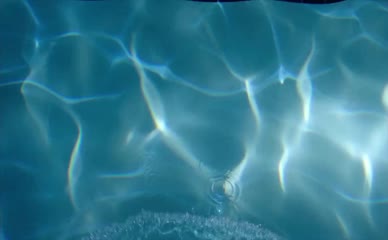 ALICE GRECZYN NUDE/SEXY SCENE IN THE LYING GAME