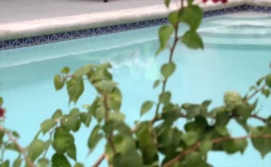 ALICE GRECZYN NUDE/SEXY SCENE IN THE LYING GAME