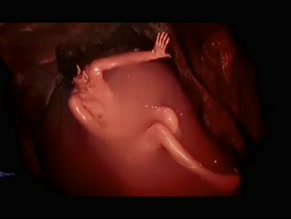 DAKOTA JOHNSON NUDE/SEXY SCENE IN VERITY