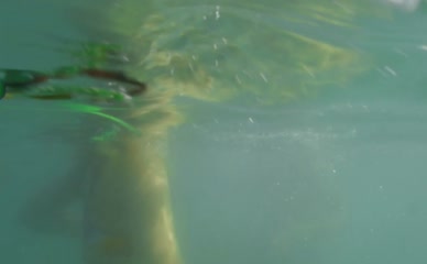 SAXON SHARBINO NUDE/SEXY SCENE IN STALKER'S PREY