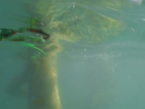 SAXON SHARBINO in STALKER'S PREY (2017)