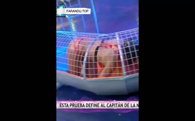 MICHEILLE SOIFER CARDENAS NUDE/SEXY SCENE IN ESTO ES GUERRA