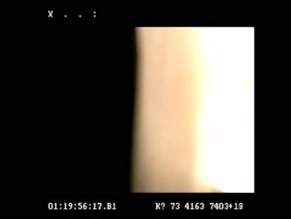 MONICA HIMMELHEBER in BABYSITTING WITHOUT A NET (2005)