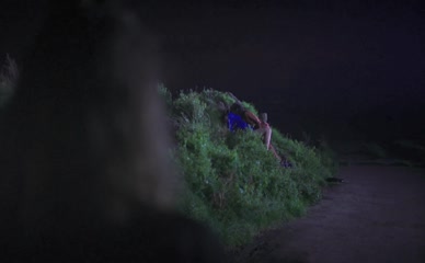 HANNEKE VAN DER PAARDT,SHARY-AN NIVILLAC,UNKNOWN NUDE/SEXY SCENE IN FOLLOW DE SOA