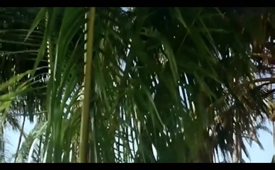 SANDRINE HOLT in RAPA NUI