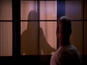 KATE WALSH in PRIVATE PRACTICE (2008-2010)