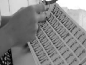 VICTORIA VASCONCELOS in 302